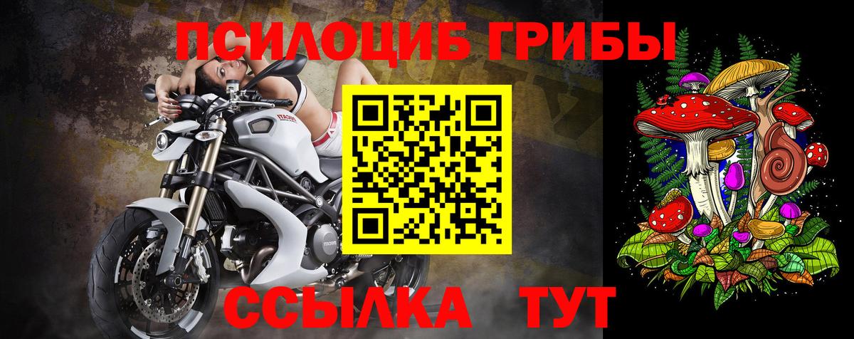 Галлюциногенные грибы прущие грибы  Галлюциногенные грибы MAGIC MUSHROOMS  Можайск  Вход с VPN 