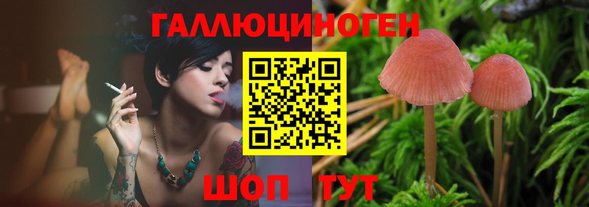 Псилоцибиновые грибы MAGIC MUSHROOMS Можайск